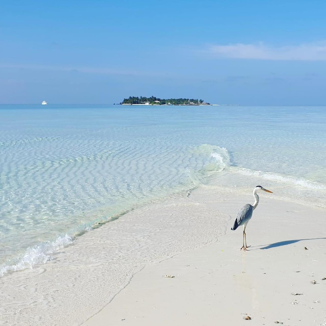 Ukulhas Villa Beach Hotel ภายนอก รูปภาพ
